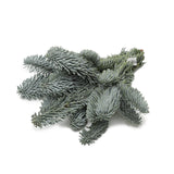 Bos Kersttaken - Abies Nobilis