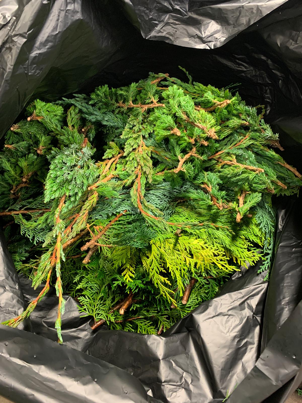 Luxe Mixzak Kerstgroen – 6 kilo | Premium selectie voor professioneel én creatief kerststukwerk