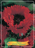 Papaver 'Turkenlouis' - Goedkope tuinplanten