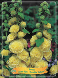 Alcea 'Double Yellow' - Goedkopetuinplanten.nl