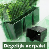 Rode Tuinplanten Mix (6 stuks)
