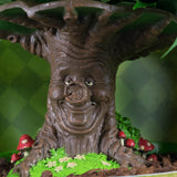 Ficus Green Kinky Sprookjesboom