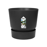 Rhapis Excelsa In Elho® Greenville Pot