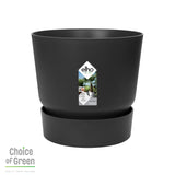 Rhapis Excelsa In Elho® Greenville Pot