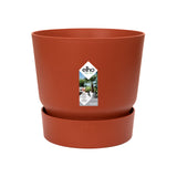 Rhapis Excelsa In Elho® Greenville Pot