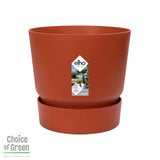 Rhapis Excelsa In Elho® Greenville Pot