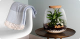 Plant Puzzel ® Discover The World Ecosysteem Met Verlichting