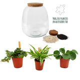 Plant Puzzel ® Discover The World Ecosysteem Met Verlichting