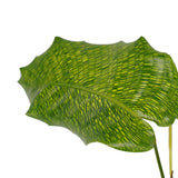 Decorum Calathea Network Met Elho B.for Soft White