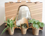 Plant Puzzel ® Discover The World Ecosysteem Met Verlichting