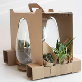 Plant Puzzel ® Discover The World Ecosysteem Met Verlichting