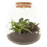 Plant Puzzel ® Discover The World Ecosysteem Met Verlichting