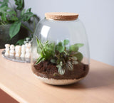 Ecosysteem ‘Dragon Tail’