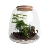 Ecosysteem ‘Green Feathers’