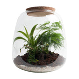 Ecosysteem ‘Green Feathers’