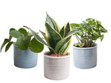 Mini-Green | Trio ‘Klein Groen’ In Laos Keramiek