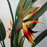Prettyplants B.v. Streltizia Kunstplant