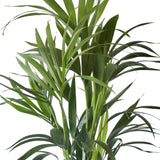 Kentia Palm In Elho Sierpot (Brussels Round Zwart)