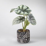 Plantenset “Plantlover” (in design keramiek)