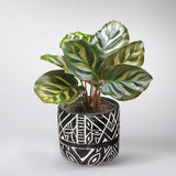 Plantenset “Plantlover” (in design keramiek)